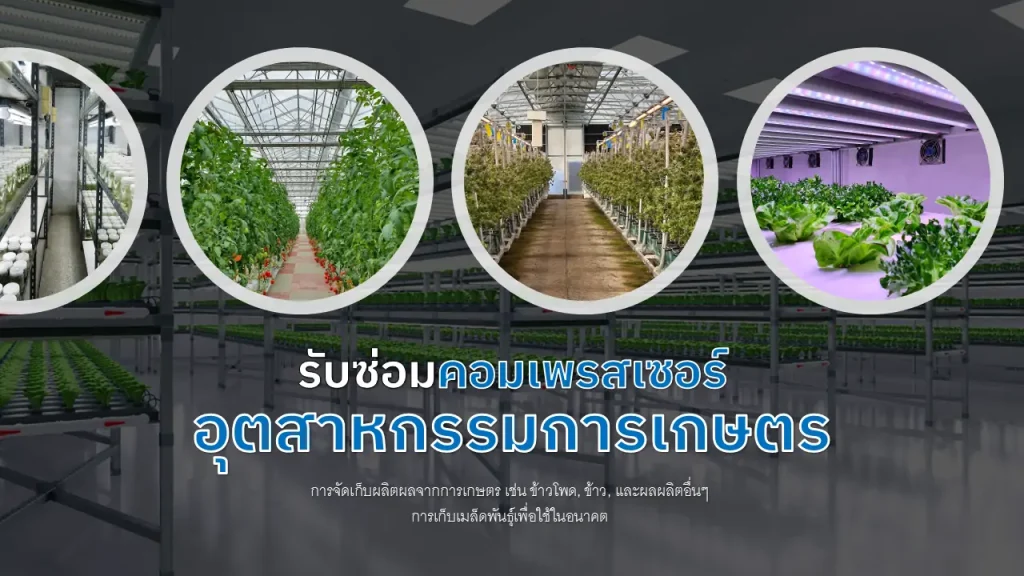 ซ่อมคอมเพรสเซอร์อุตสาหกรรมการเกษตร